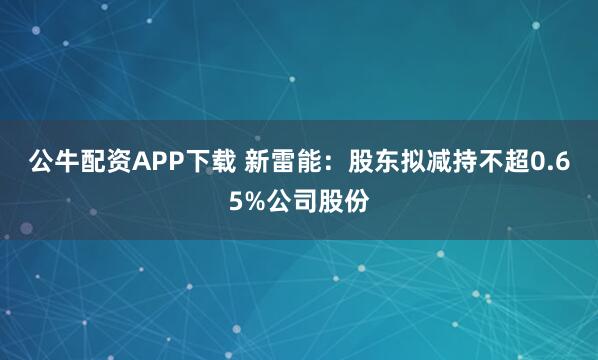公牛配资APP下载 新雷能：股东拟减持不超0.65%公司股份