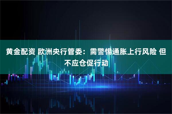 黄金配资 欧洲央行管委：需警惕通胀上行风险 但不应仓促行动